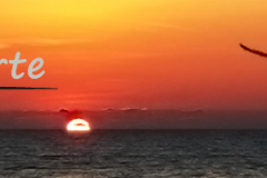 Trauerkarten Trauerkarte Motiv Sonnenuntergang Meer