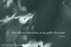 die_trauer_karte zitat154