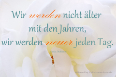 die_trauer_karte zitat179