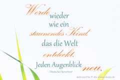die_trauer_karte zitat181
