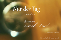 takeheed_zitat193