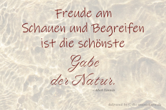 takeheed_zitat219