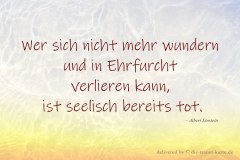 takeheed_zitat224