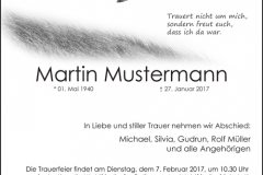 Traueranzeige Motiv A 015 VO - Möwe Dünen Strand