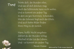 takeheed_zitat100