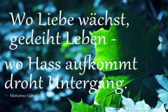 takeheed_zitat103