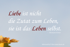 takeheed_zitat134