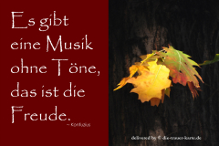takeheed_zitat138