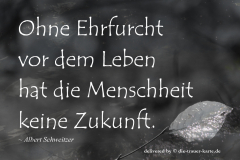 takeheed_zitat145