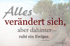 takeheed_zitat21