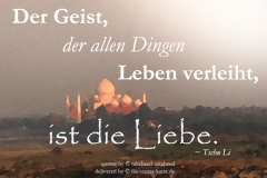 takeheed_zitat24