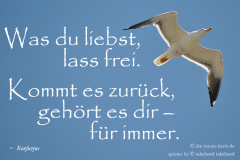 takeheed_zitat32