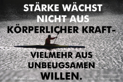 takeheed_zitat33