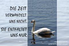 takeheed_zitat34