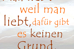takeheed_zitat41