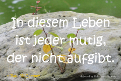 takeheed_zitat44