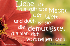 takeheed_zitat45
