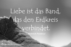 takeheed_zitat56
