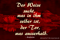 takeheed_zitat58