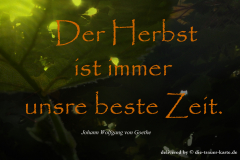 takeheed_zitat66