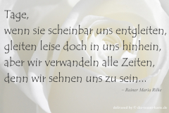 takeheed_zitat68