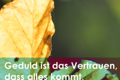takeheed_zitat77