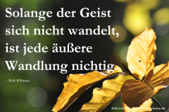 takeheed_zitat80
