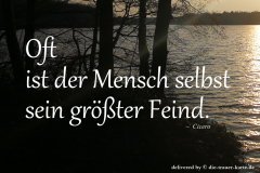 takeheed_zitat83