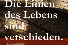 takeheed_zitat83