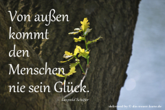 takeheed_zitat90