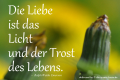 takeheed_zitat91