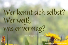takeheed_zitat92