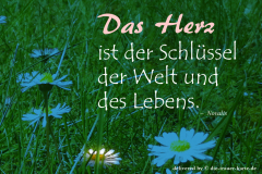 takeheed_zitat98