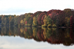 trauerkarten_herbst
