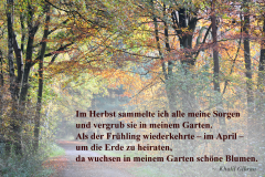 trauerkarten_weg_im_herbst