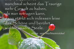 trauerkarten_zitat12