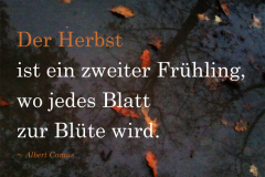 trauerkarten_zitat13