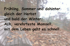 trauerkarten_zitat14