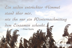 trauerkarten_zitat_kupke