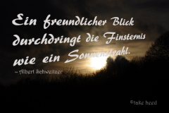 trauerkarten_zitat_schweitzer_15