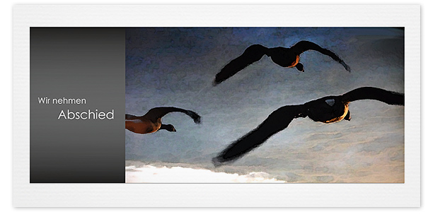 Trauerkarte Vögel Motiv - Nr. 017 VO