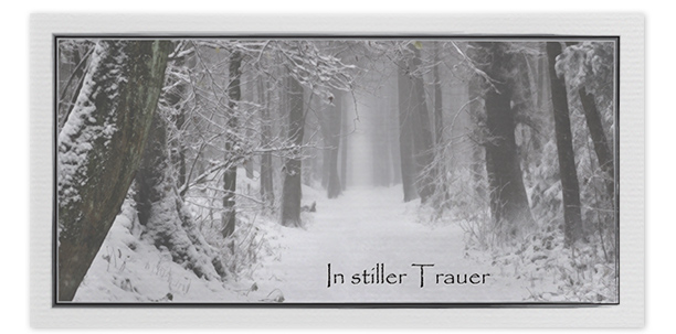 Trauerkarte Schnee Winter Motiv - Nr. 021 WE