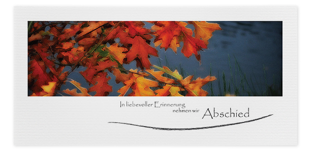 Trauerkarte Herbstblätter Motiv - Nr. 017 HE