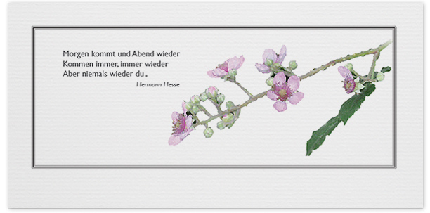 Trauerkarten Motiv Kirschblüte 024 BL